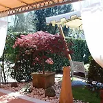 Regina 马尔米堡
