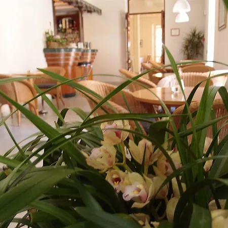 Regina Hotel Forte dei Marmi
